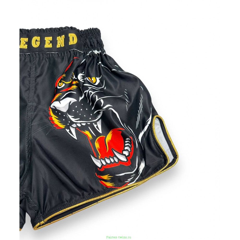 Шорты для бокса Blegend Magic Tiger L