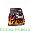 Шорты для бокса Twins Special TBS Flame L