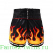 Шорты для бокса Twins Special TBS Flame S