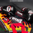 Шорты для бокса Twins Special TBS Flame S