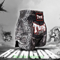 Шорты для бокса Twins Special TBS Rangda L