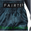 Шорты для бокса Fairtex BS1902 (аква) 2XL