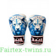 Боксёрские перчатки Raja Leo Frost 10 oz