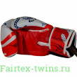 Боксерские перчатки Twins Special FBGVL4-67 Yant 10 oz