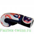 Боксерские перчатки Twins Special FBGVL4-67 Yant 10 oz