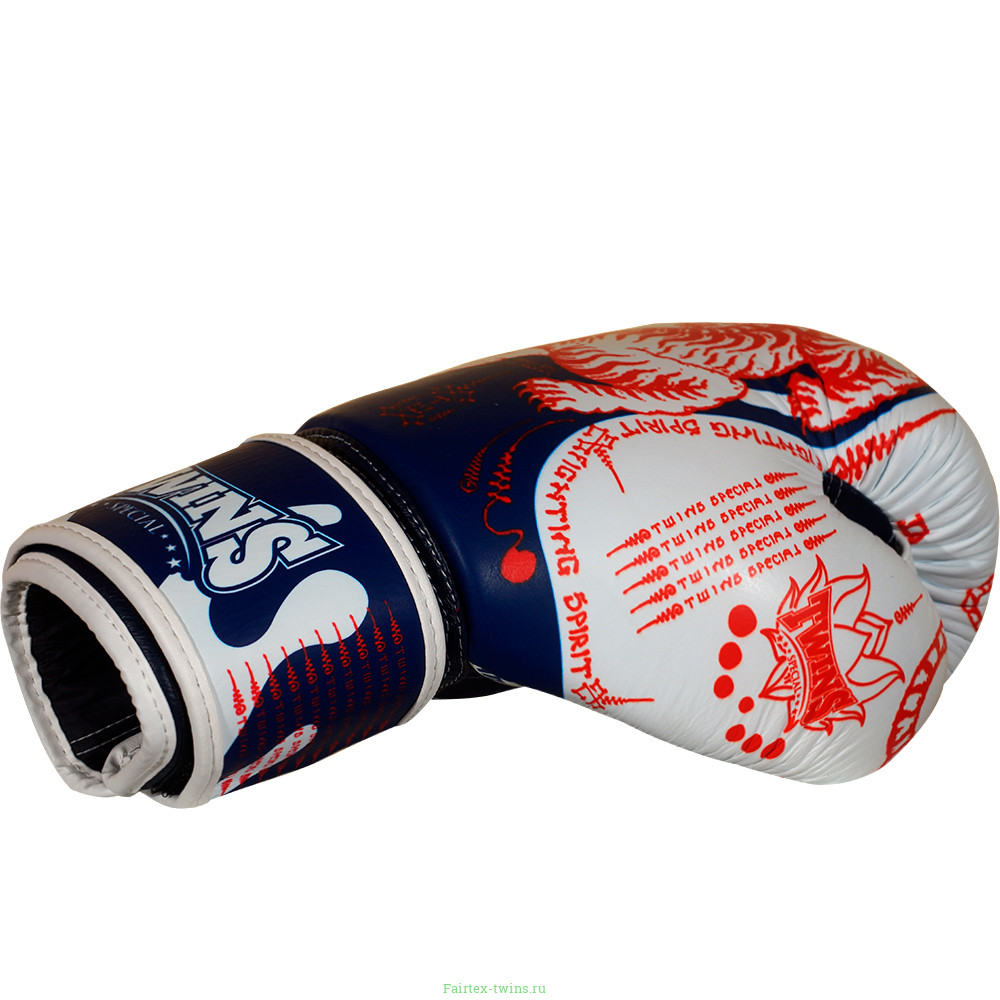 Боксерские перчатки Twins Special FBGVL4-67 Yant 14 oz