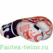 Боксерские перчатки Twins Special FBGVL4-67 Yant 14 oz