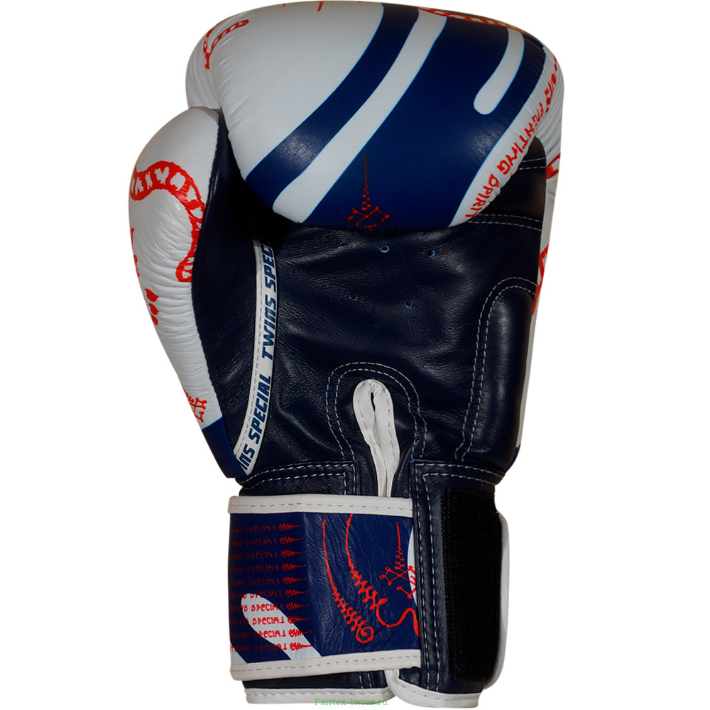 Боксерские перчатки Twins Special FBGVL4-67 Yant 14 oz