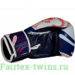 Боксерские перчатки Twins Special FBGVL4-67 Yant 12 oz