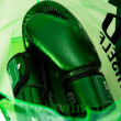 Боксерские перчатки Fairtex BGV22 green 10 oz