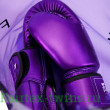 Боксерские перчатки Fairtex BGV22 violet 14 oz