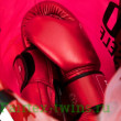 Боксерские перчатки Fairtex BGV22 red 10 oz