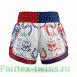 Шорты для Muay Thai Twins Special TBS Yant 2XL