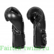 Боксерские перчатки Fairtex BGV9C-PLUS black 10 oz