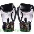 Боксерские перчатки Fairtex BGV premium Reversal 14 oz