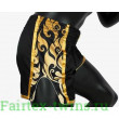 Шорты для бокса Fairtex BSG1 black gold S