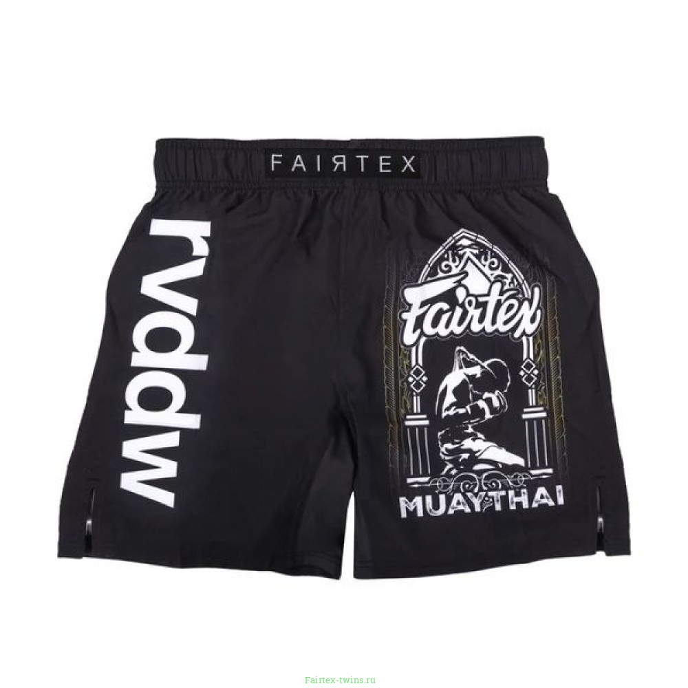 Шорты для ММА Fairtex AB Reversal L