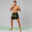 Шорты для бокса Fairtex BS1947 - S