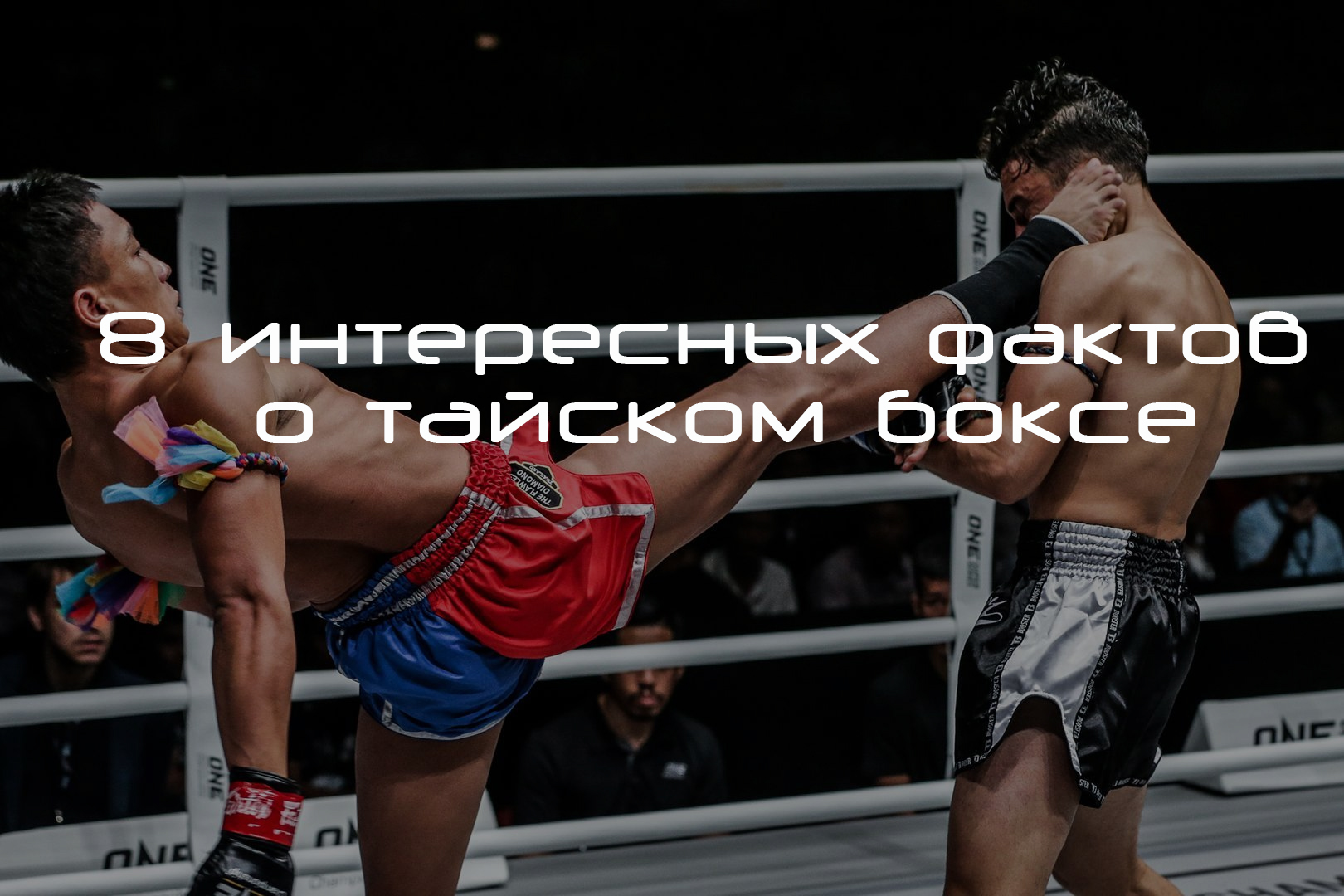 ��������� ������� 100 � ������ ������: ����.